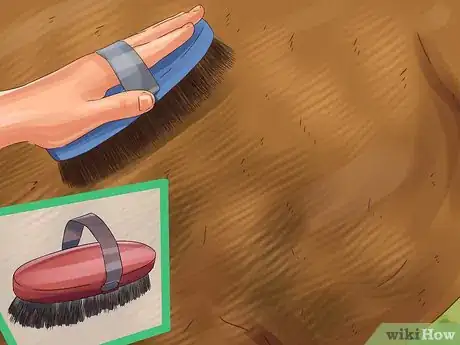 Image titled Assemble a Horse Grooming Kit Step 7