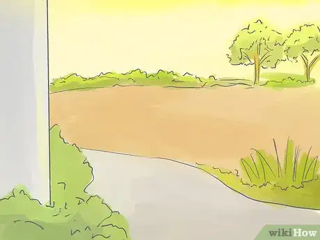 Image titled Grow a Queen Palm Step 6