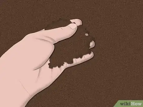 Image titled Plant a Sweet Shrub Step 3Bullet2