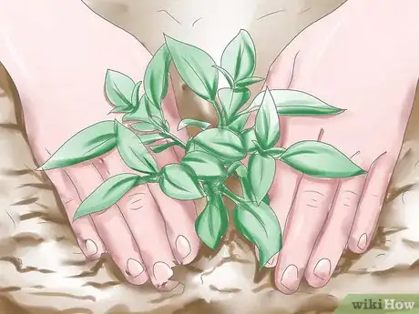 Image titled Deadhead Petunias Step 3