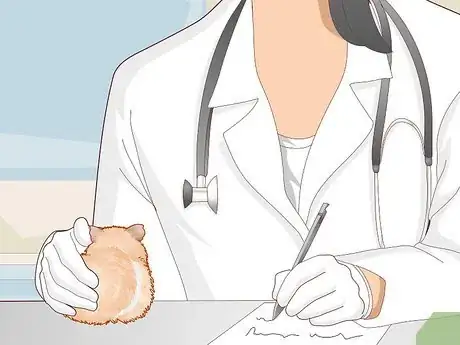 Image titled Transport a Guinea Pig Step 12