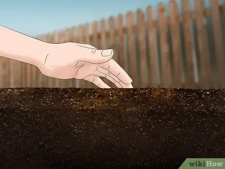 Image titled Grow Napa Cabbage Step 8