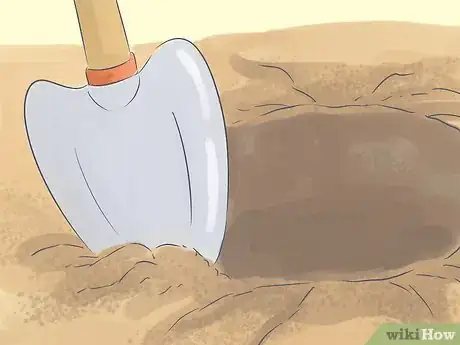 Image titled Grow a Queen Palm Step 8