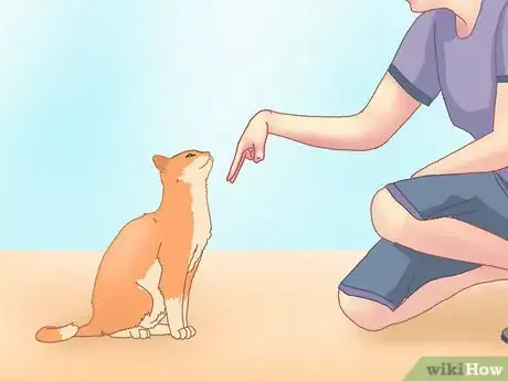 Image titled Get a Cat to Roll Over Step 4