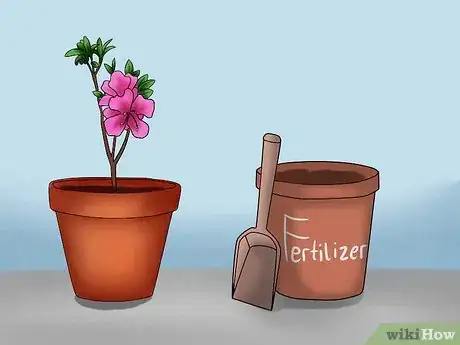 Image titled Care for Azaleas Step 12