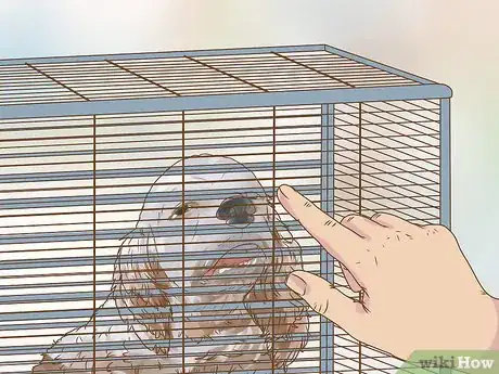 Image titled Evaluate a Dog's Temperament Before Choosing Step 3