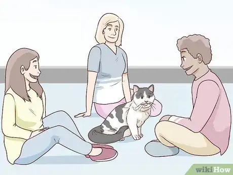 Image titled Train a Cat to Stop Fearing Sudden Movements Step 5