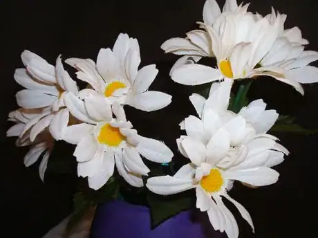 Image titled Dasies in blu vase