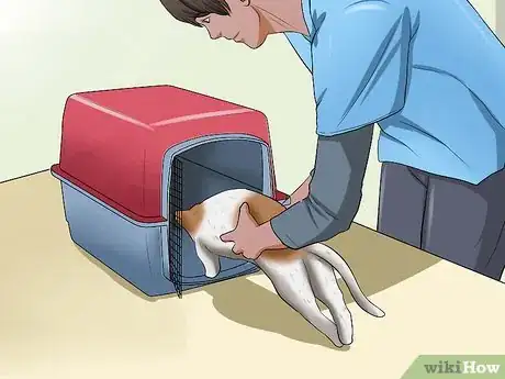 Image titled Keep a Cat Calm During Fireworks Step 4