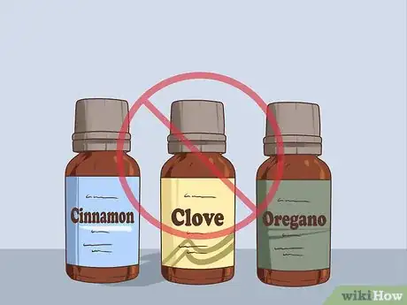 Image titled Keep Pets Safe Around Essential Oils Step 13