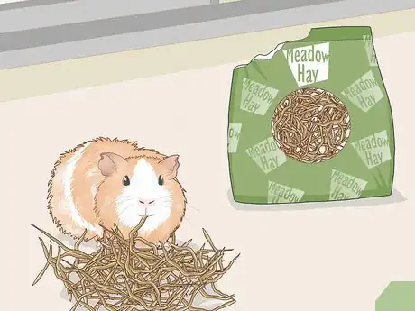 Image titled Change a Guinea Pig's Diet Step 8
