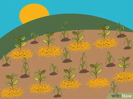 Image titled Grow Hot Peppers Step 17