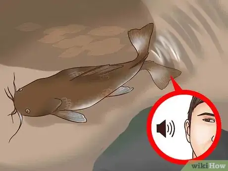 Image titled Catch Flathead Catfish Step 16