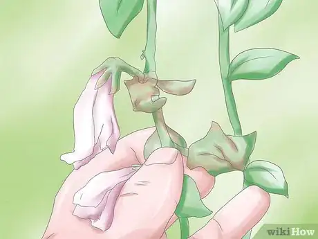 Image titled Deadhead Petunias Step 5