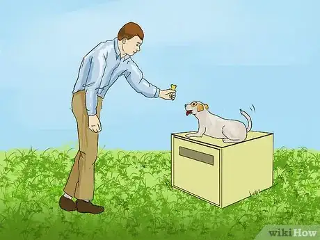 Image titled Teach a Small Dog to Lie Down on Command Step 8