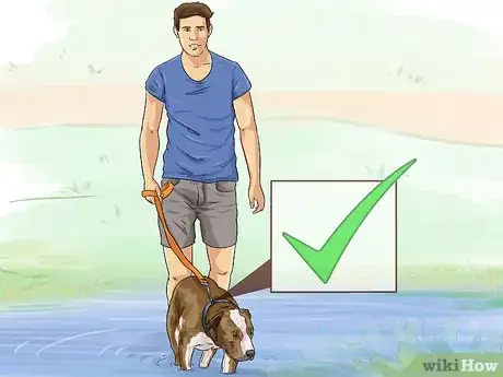 Image titled Protect Your Dog Around Natural Water Sources Step 5