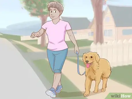 Image titled Train a Golden Retriever Step 3