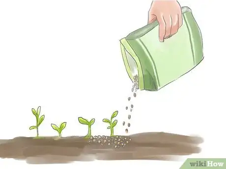 Image titled Fertilize Impatiens Step 2