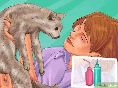 Image titled Treat Feline Stomatitis Step 4