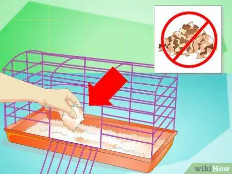 Image titled Keep a Hamster Healthy Step 3