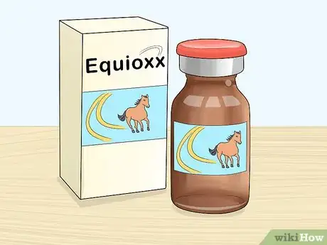 Image titled Handle Hind Leg Problems in Horses Step 8