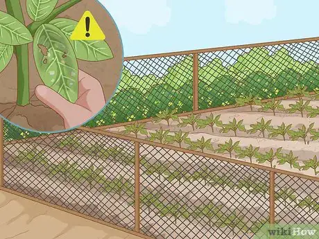 Image titled Grow a Garden Step 13