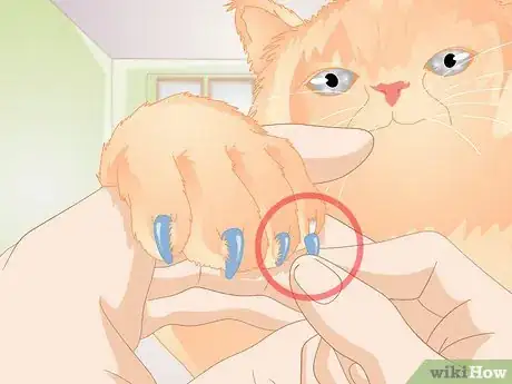 Image titled Find Alternatives to De Clawing Your Cat Step 5