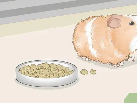 Image titled Change a Guinea Pig's Diet Step 5