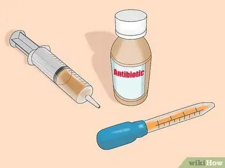 Image titled Manage Broken Bones in Chinchillas Step 8