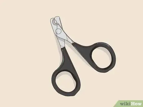 Image titled Groom Lories and Lorikeets Step 4