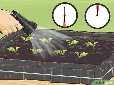 Image titled Make a Simple Home Hydroponic Garden Step 21