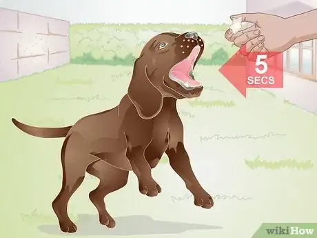 Image titled Train a Dog to Stand Up Step 12