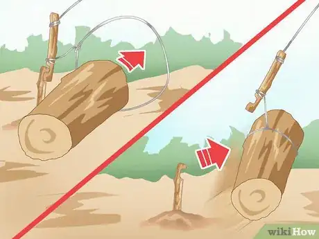 Image titled Trap a Rabbit Step 21
