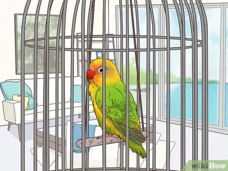 Image titled Treat Lovebirds with Psittacine Beak and Feather Disease Step 1