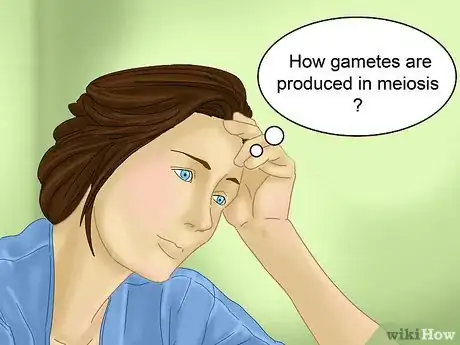 Image titled Differentiate Between Mitosis and Meiosis Step 4