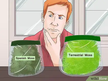 Image titled Make Moss Terrariums Step 4