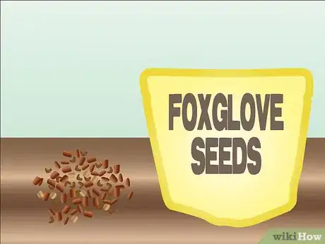 Image titled Grow Foxglove Step 1