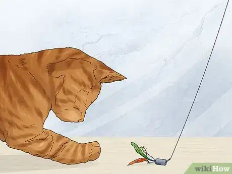 Image titled Care for an American Bobtail Cat Step 5