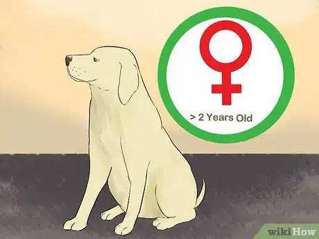 Image titled Create a Sound Reputation As a Dog Breeder Step 5