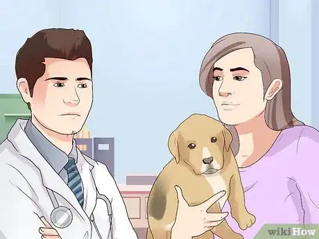 Image titled Get a Dog to Do a Handstand Step 7