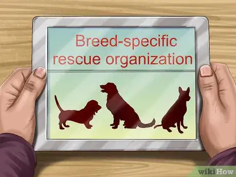 Image titled Choose a Dog Adoption Agency Step 12