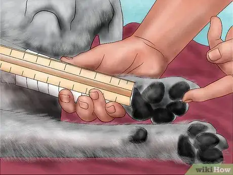 Image titled Splint a Dog's Leg Step 14