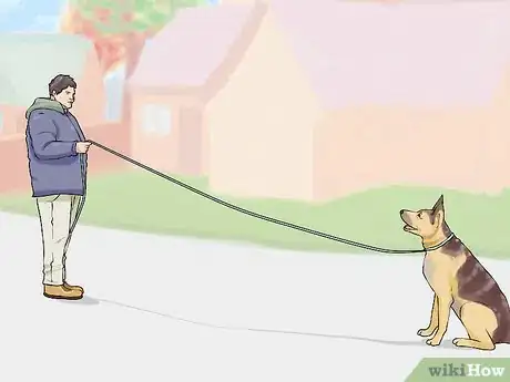 Image titled Get Your Dog to Follow You Step 5