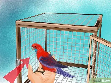 Image titled Select a Pet Parrot Step 2