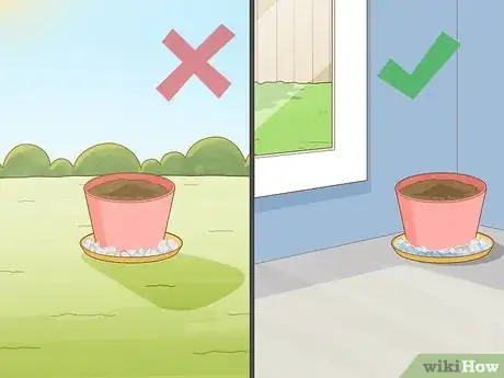 Image titled Plant Money Trees Step 8