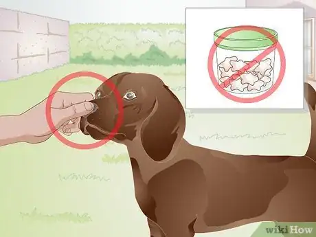 Image titled Train a Dog to Stand Up Step 13