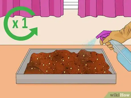 Image titled Grow Popcorn Shoots Step 11