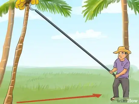 Image titled Harvest a Coconut Step 5