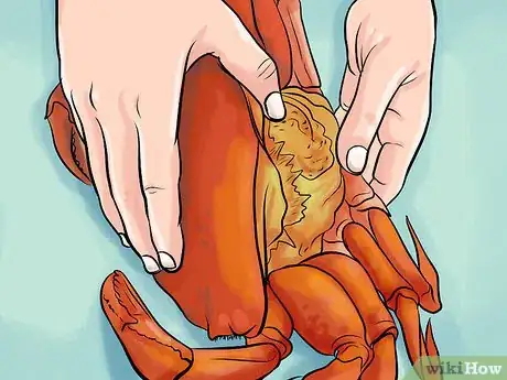Image titled Clean Dungeness Crab Step 6