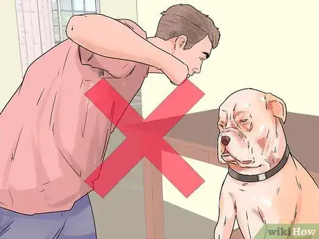 Image titled Enhance Your Dog's Recall Step 7